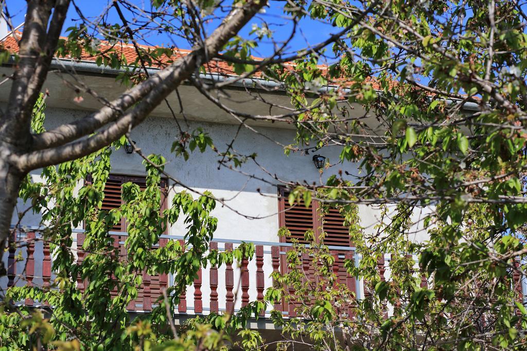 Apartment Ante Bibinje Exterior photo